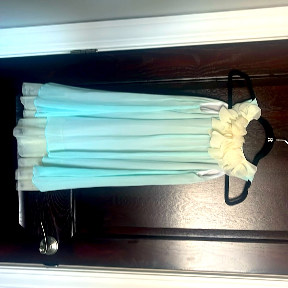 Ya Ya Fairies Flower girl dress size 10